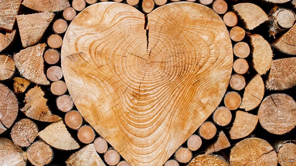 Sustainably sourced North American hardwood logs from Fitzpatrick & Weller used in Thurston's Vermont-made furniture for product quality and environmental responsibility