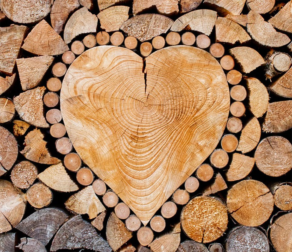 Sustainably sourced North American hardwood logs from Fitzpatrick & Weller used in Thurston's Vermont-made furniture for product quality and environmental responsibility